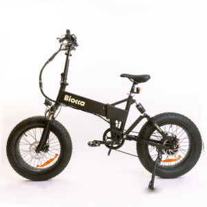 e-Bike BIO21